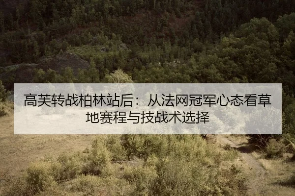 gao-fu-zhuan-zhan-bo-lin-zhan-hou-cong-fa-wang-guan-jun-xin-tai-kan-cao-di-sai-cheng-yu-ji-zhan-shu-xuan-ze-2-619.jpg